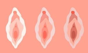 تجميل الشفرات الداخلية والخارجية